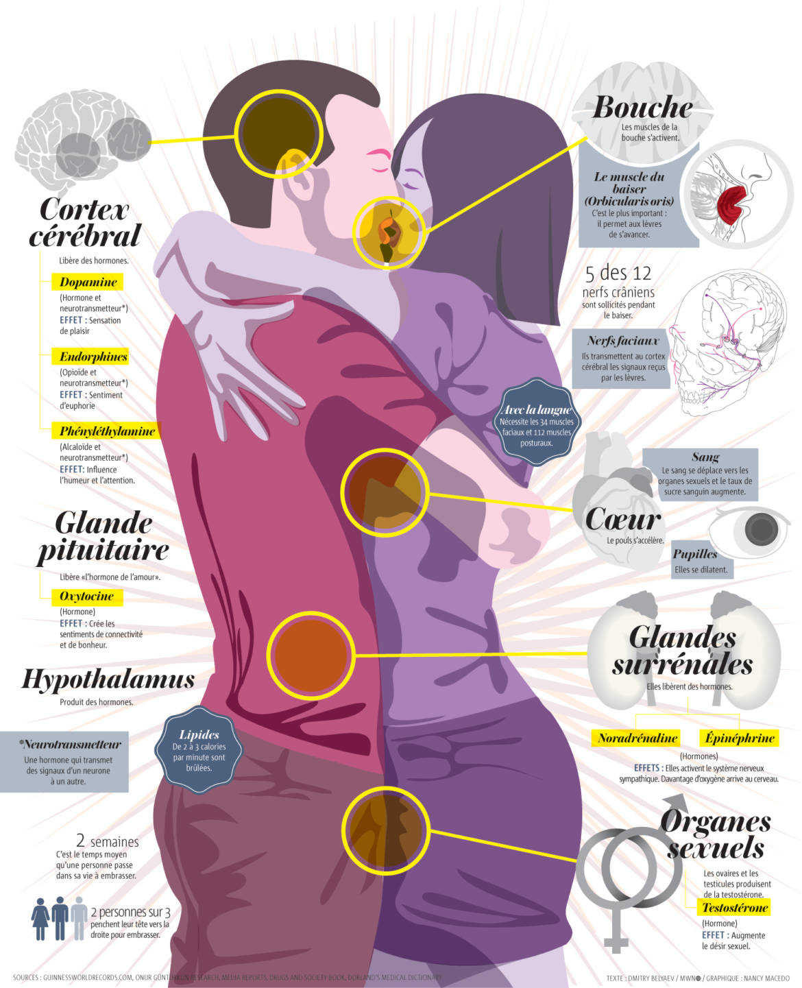 images_Chimie-du-baiser.jpg